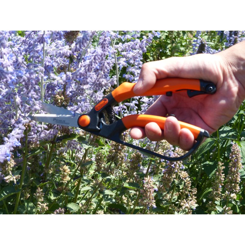 Garten PRIMUS ressort de remplacement pour petit sécateur buis